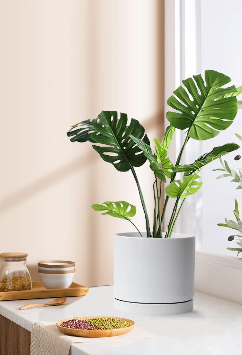 Aveyas 8 inch Ceramic Plant Pot with Drainage Hole and Saucer - Suitable for Indoor and Outdoor Use, Modern Planters for House Garden Flower Tree Snake Monstera Plants (8", Glossy White)