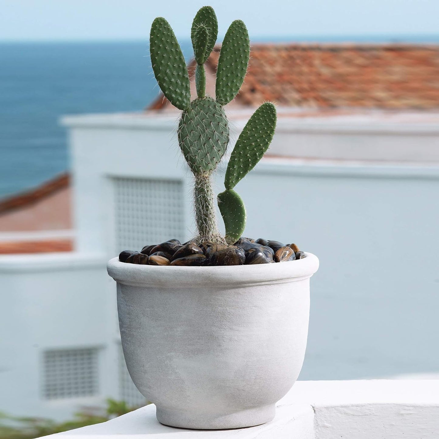Crescent Garden Agave Planter, Charming Old-World Plant Pot, 18-Inch (Caviar Black)
