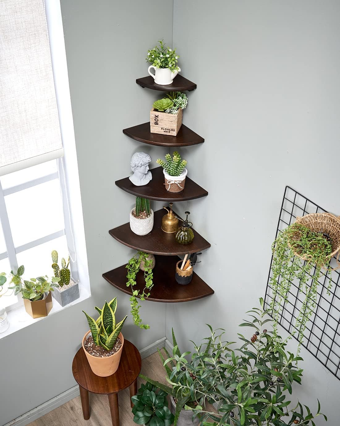 Corner Shelf,14inch Walnut Solid Wood Floating Corner Shelves Wall Mount Round End Floating Speaker Rack with Wire Hole for Small Plant for Bedroom Kitchen, Living Room