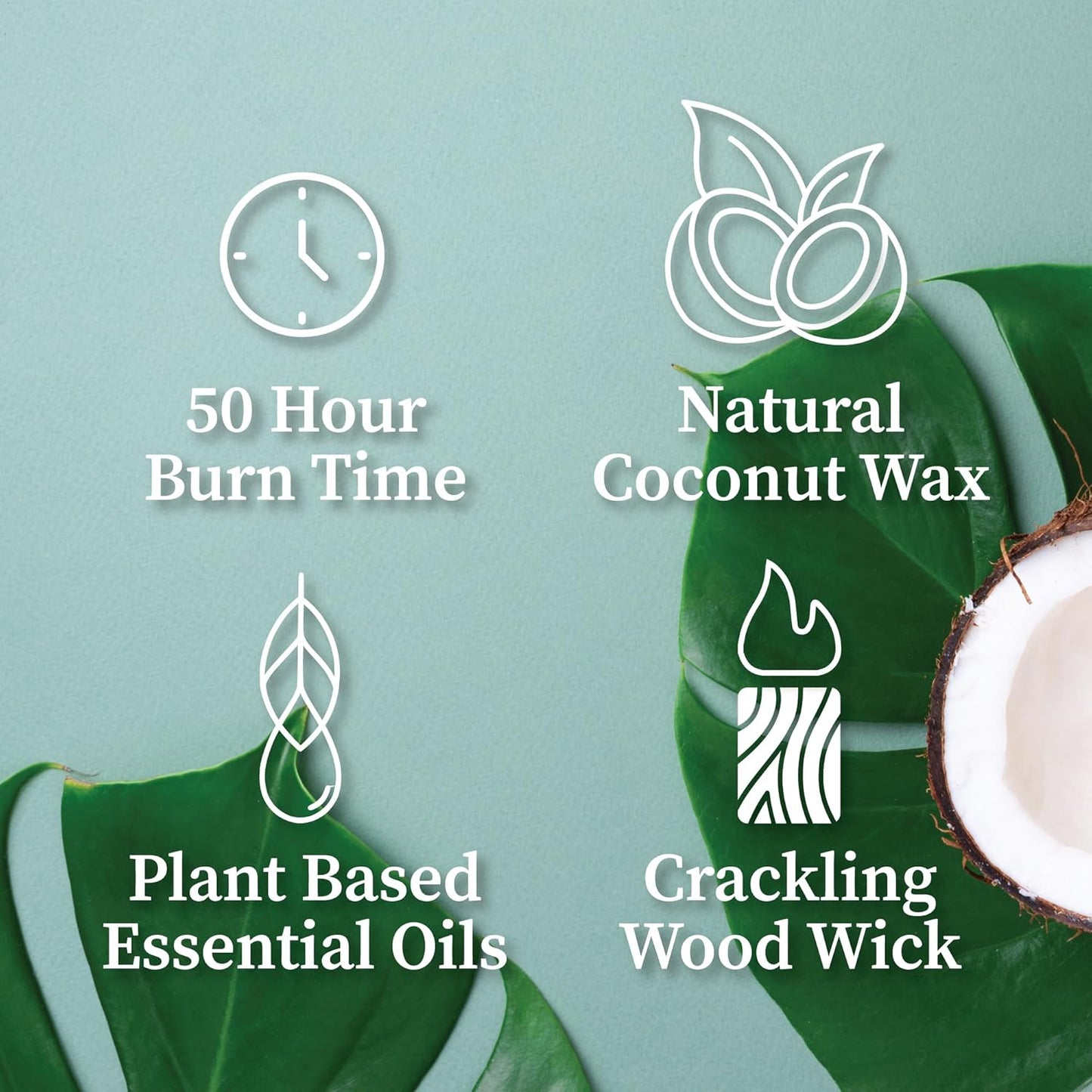 Hemlock Park Wood Wick Candle Handcrafted with Natural Coconut Wax and Essential Oils (Amber & Gold 7.2 oz, Red Currant)