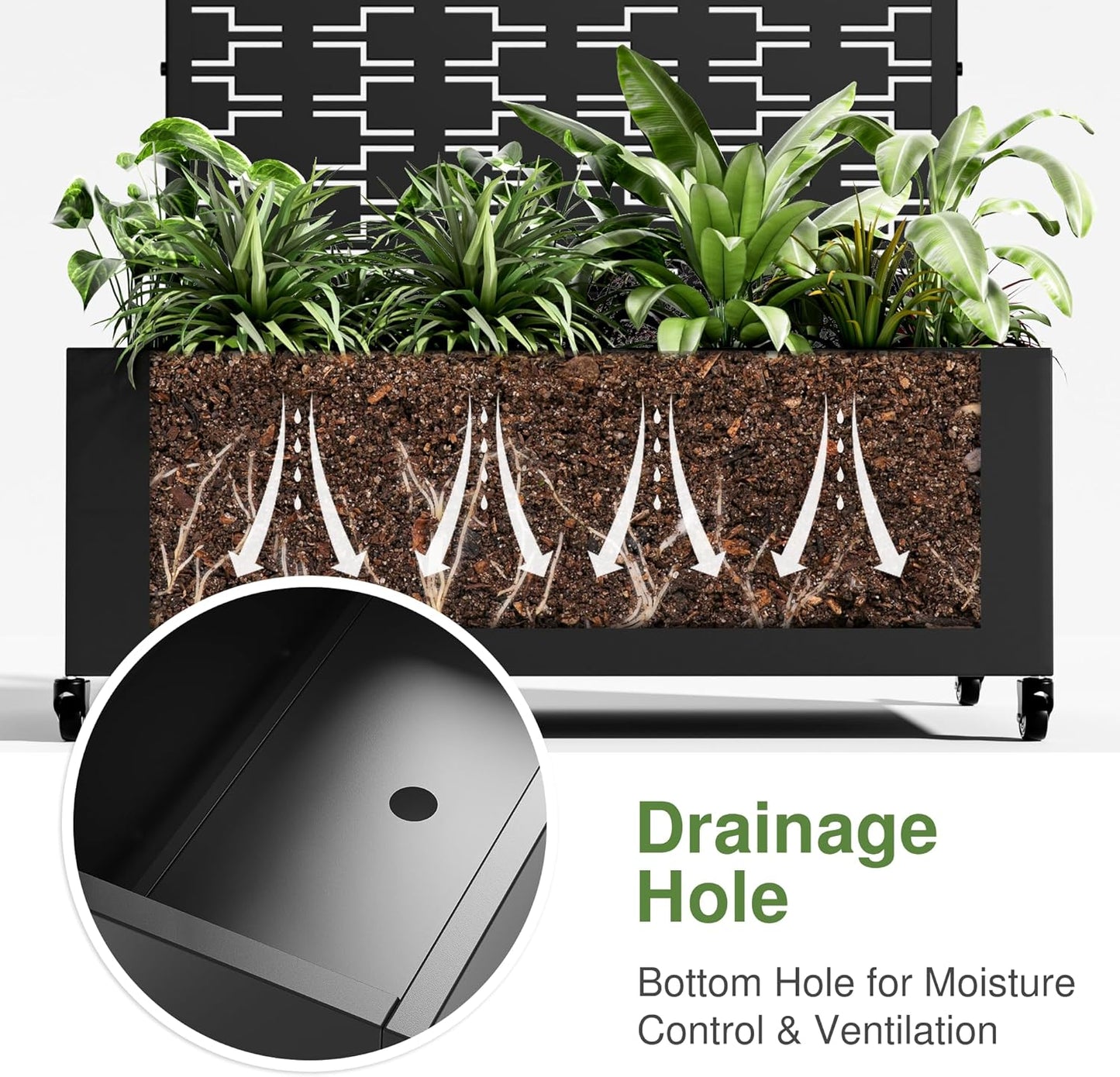 Casaphoria Metal Raised Garden Bed with Trellis and Wheels, 72"x35"x16" Arched Planter Box for Climbing Plants, Vegetables & Vines, Features Drainage Holes and Privacy Screen (Black-Square)